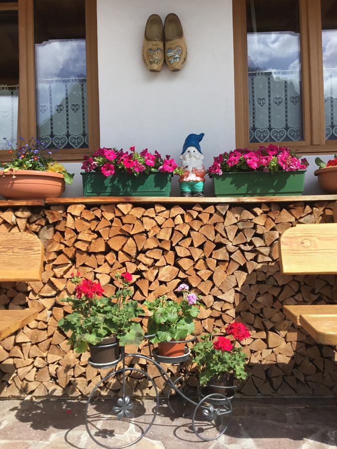 B&B Solder Chalet Dolomiti Sappada Exterior foto